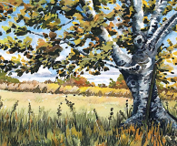 2-backwoods-birch-jessica-bartlet