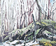 3-backwoods-goula-glacier-deposit-jessica-bartlet