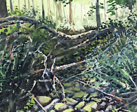 4-backwoods-goula-jessica-bartlet