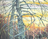 Jessica Bartlet, Winter Pine