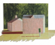 Michele BonDurant, Little pink houses,