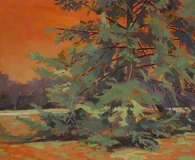 Michele BonDurant, Old pine