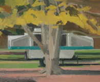 Beech and Camper