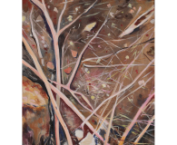 Fallen Twigs and Branches on Rough Ground