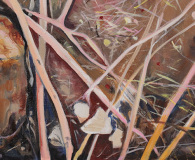 Fallen Twigs and Branches on Rough Ground