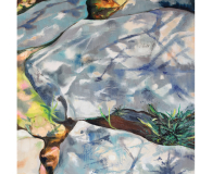 Bright Day Impression with Flat Rocks and Crevices