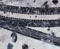 Fresh Tire Tracks and Other Snow Markings