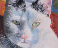 Portrait of Angus