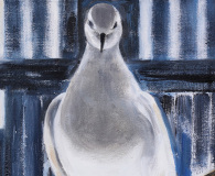 Matisse’s Dove