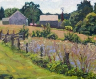 Kathy Moore, Carriage Hill Farm in August