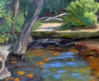 Kathy Moore, River Bend at South Glen Helen