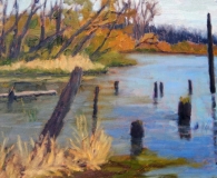 Kathy Moore, View from Carriage Hill Farm Pond