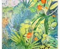 Yellow/green foliage with small red flowers