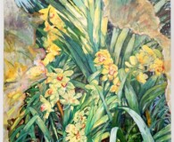 Spikey green foliage with light yrellow flowers