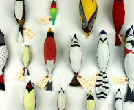 Deatail view of birds on fabric
