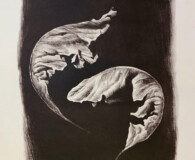 black and white art