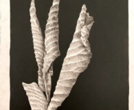 Black and white art