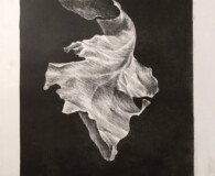 Black and white art