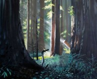 View of trees in forest through 2 trees in foreground.