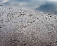 Magnified ground with clouds in the background.
