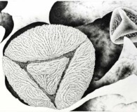 Abstract, blsck & white.