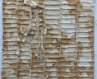 Annie Zeybekoglu, New York, New York