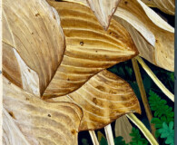 Peter Joslin, Hosta Gone By
