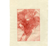 Qin Shen, Fat 04