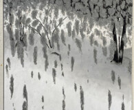 Peter Joslin, Back Door-Winter Storm