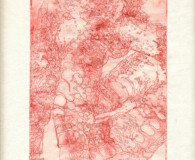 Qin Shen, Fat 05